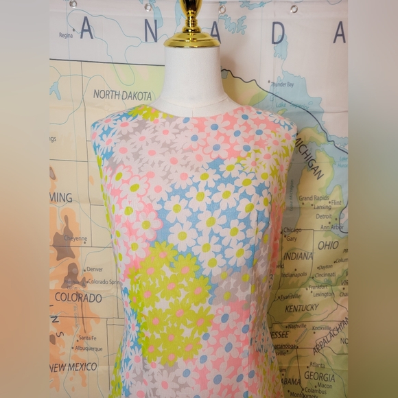 Vintage 1960s Eve Carter Floral Sleeveless Dress with Pleated Skirt - Picture 2 of 16